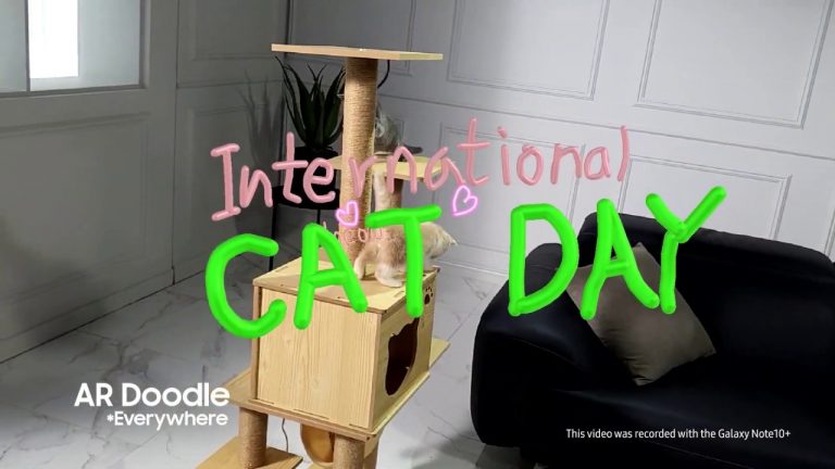 Ziua Internațională a Pisicii cu Samsung Galaxy Note 10 Plus