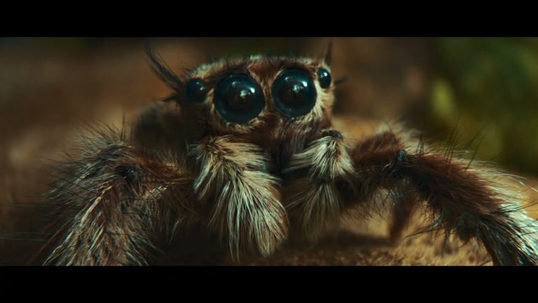 Samsung Galaxy S22 Ultra într-un clip video cu…. un păianjen!