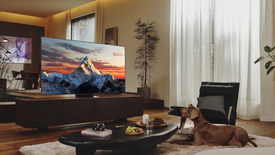 televizoare Samsung