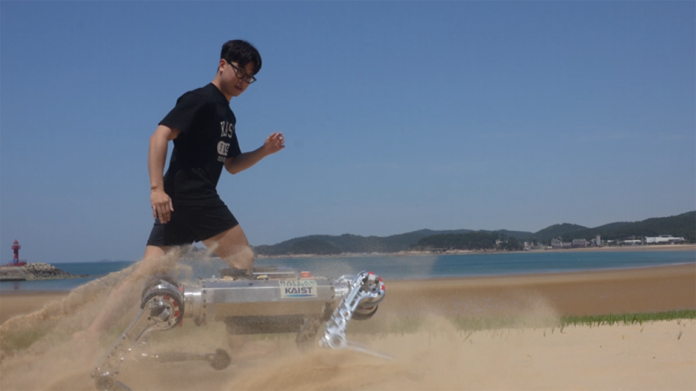 Cercetatori sustinuti de Samsung au realizat un caine robot