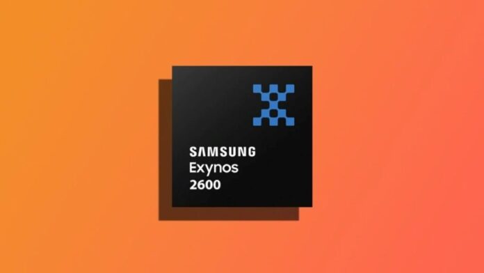 Cip Exynos 2600 Cip Exynos 2600