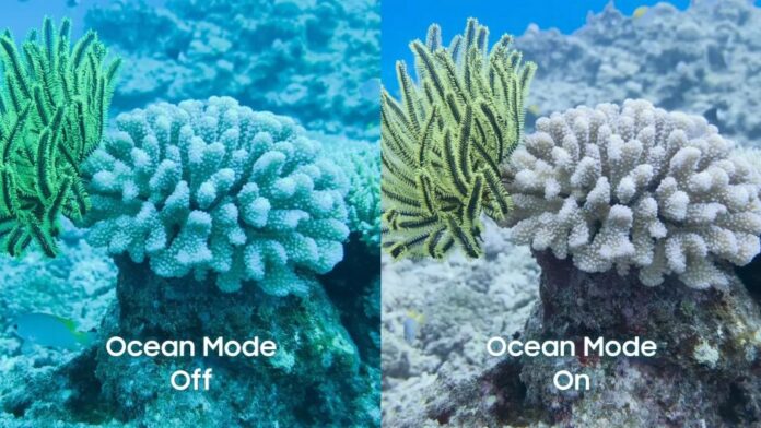 Ocean Mode