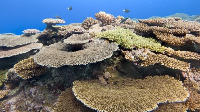 Samsung-S26-series-Ocean-Mode