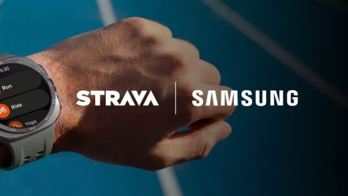 Strava Routes
